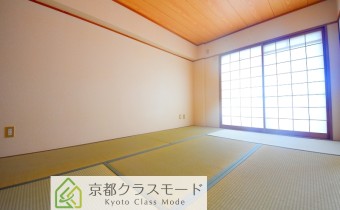 和6