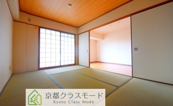 和6