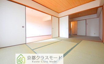 和6