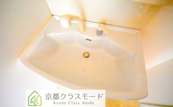 シャンプードレッサー