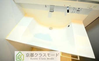 シャンプードレッサー