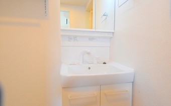 シャンプードレッサー