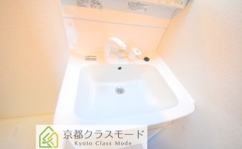 シャンプードレッサー