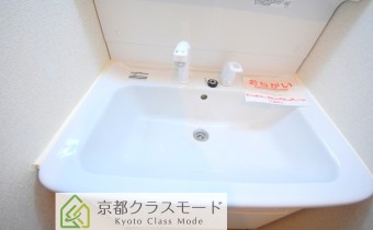 シャンプードレッサー