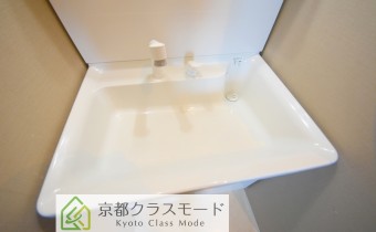 シャンプードレッサータイプ　
