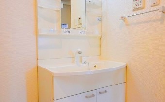 シャンプードレッサー