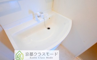 シャンプードレッサー