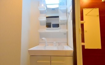 シャンプードレッサー