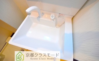 シャンプードレッサー