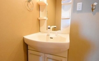 シャンプードレッサー