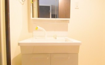 シャンプードレッサー
