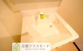 シャンプードレッサー