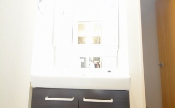 シャンプードレッサー