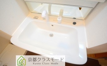 シャンプードレッサー