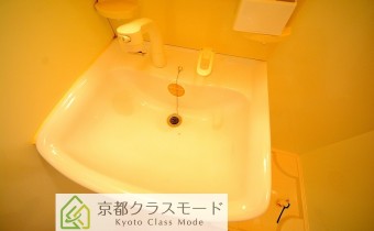 シャンプードレッサー