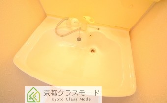 シャンプードレッサー