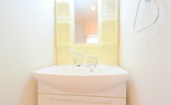 シャンプードレッサー