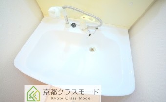 シャンプードレッサー