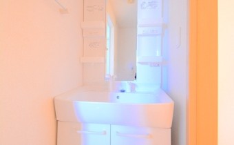 シャンプードレッサー