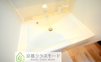 シャンプードレッサー