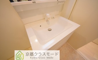 シャンプードレッサー