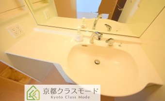 シャンプードレッサー