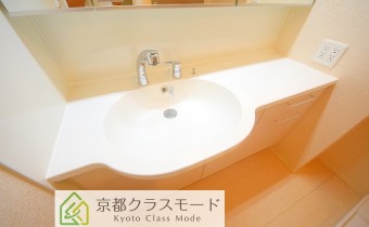 シャンプードレッサー