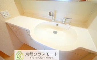 シャンプードレッサー