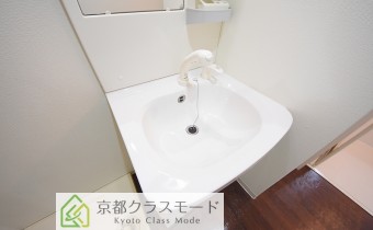 シャンプードレッサー