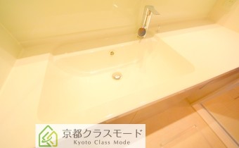 シャンプードレッサー
