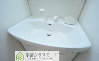 シャンプードレッサー