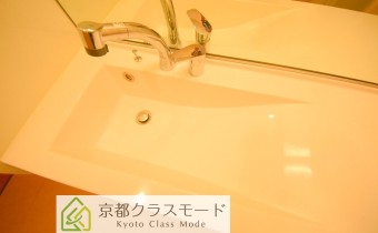 シャンプードレッサー