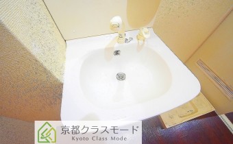 シャンプードレッサー