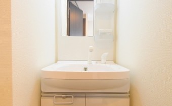 シャンプードレッサー