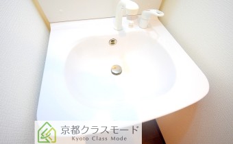 シャンプードレッサー
