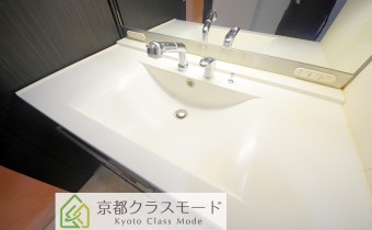 シャンプードレッサー