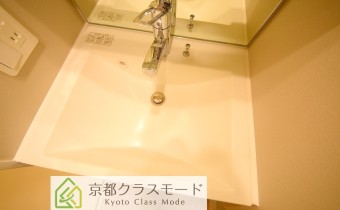 シャンプードレッサー