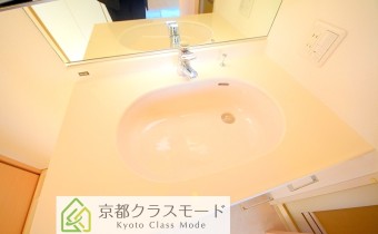 シャンプードレッサー