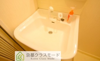 シャンプードレッサー
