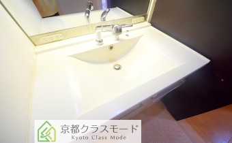 シャンプードレッサー