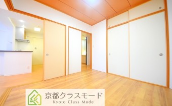 Room 5