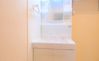 シャンプードレッサー