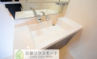 シャンプードレッサー
