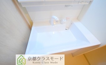 シャンプードレッサ