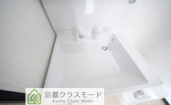 シャンプードレッサー