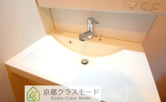 シャンプードレッサー