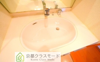 シャンプードレッサー
