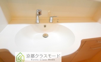 シャンプードレッサー