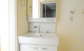 シャンプードレッサー