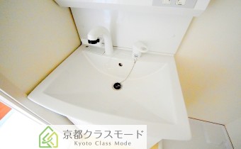 シャンプードレッサー
